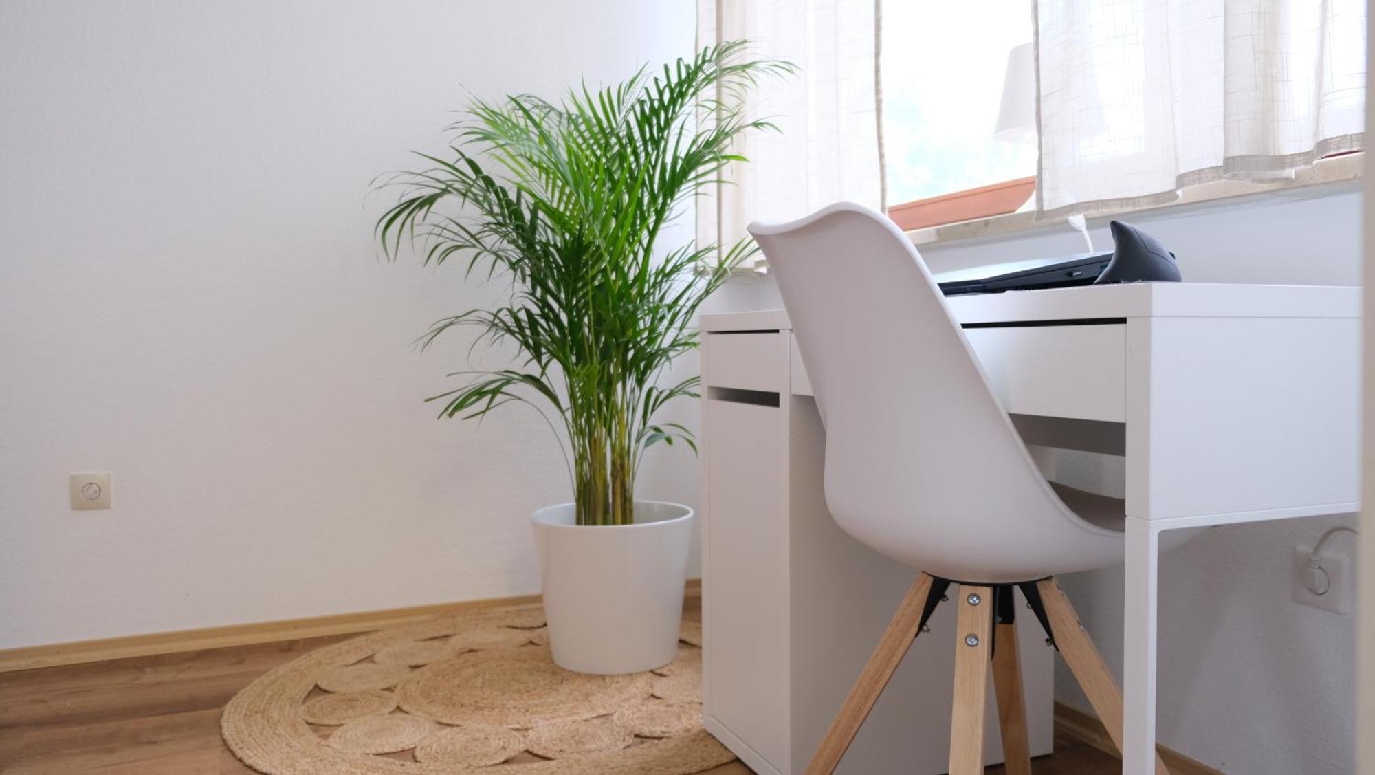 Casa Luxe - 120Qm - Zentral - Familienfreundlich - Parkplatz - 5Km Zum Legoland Apartment Guenzburg Ngoại thất bức ảnh